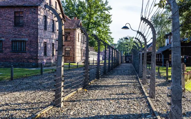Klassetur til Krakow og Auschwitz – bilde 4